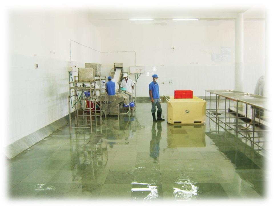 Pre processing facilty