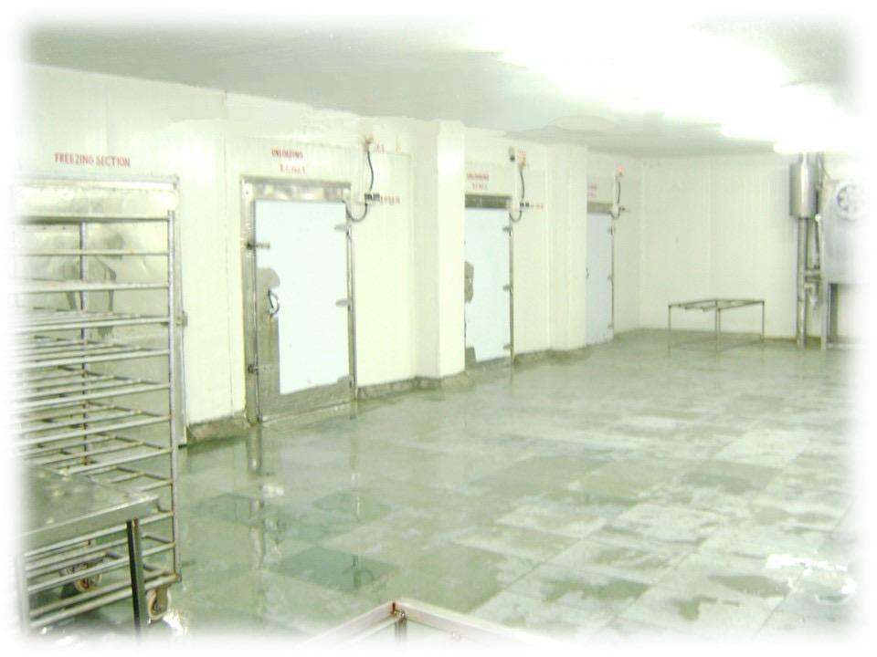 Pre processing facilty