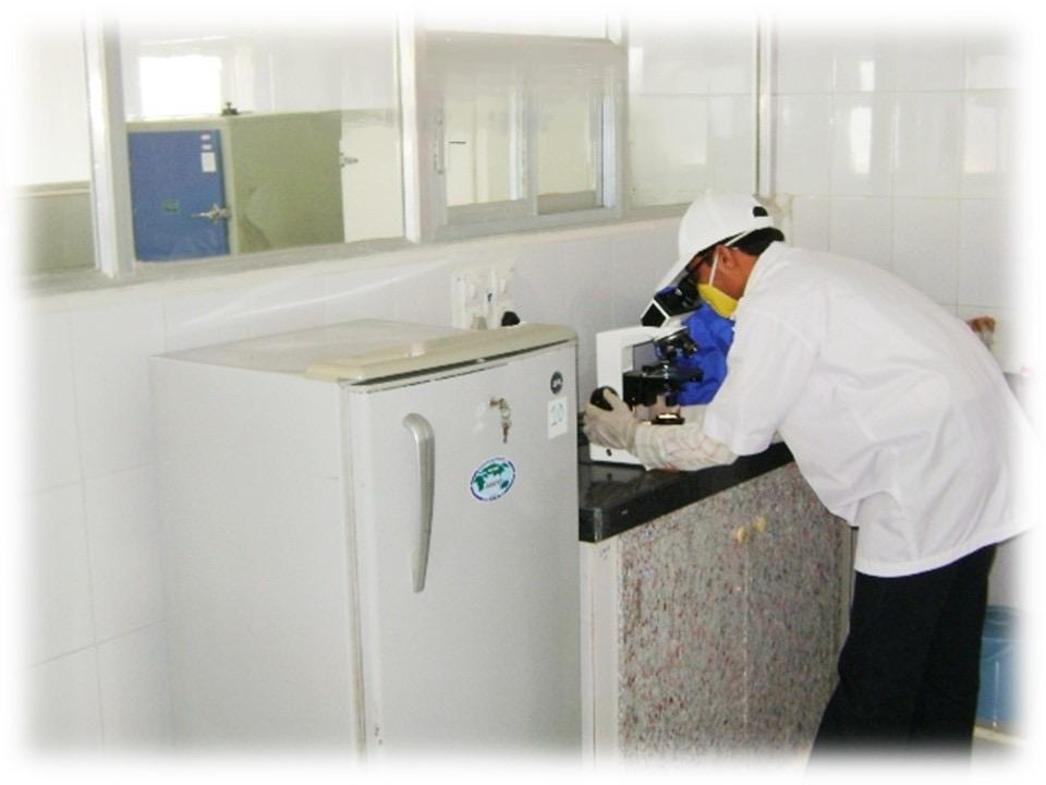 In-house Laboratory