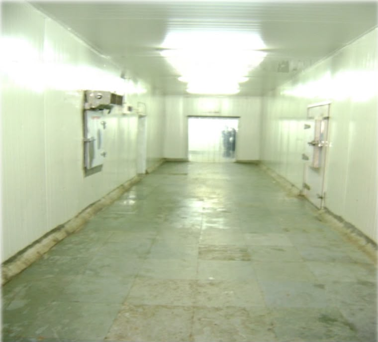 Cold Storage