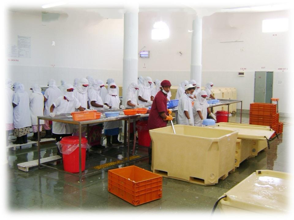 Pre processing facilty